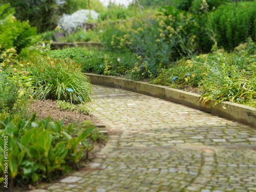 chemin du parc photo