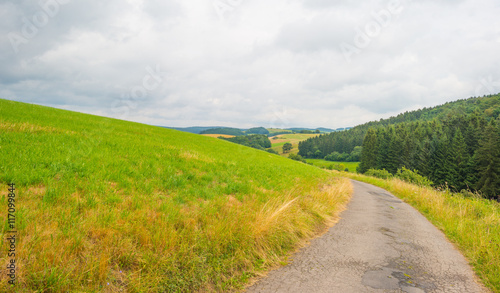 Hills of the Eifel National Park in summer © Naj