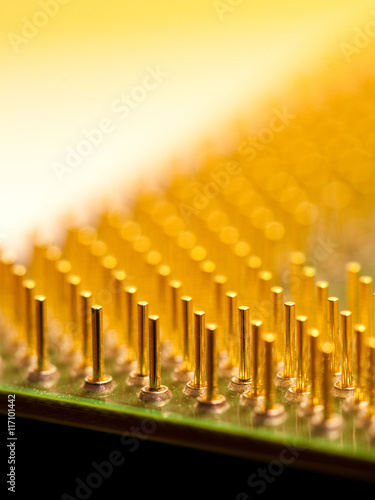 Close-Up of Computer Processor Pins