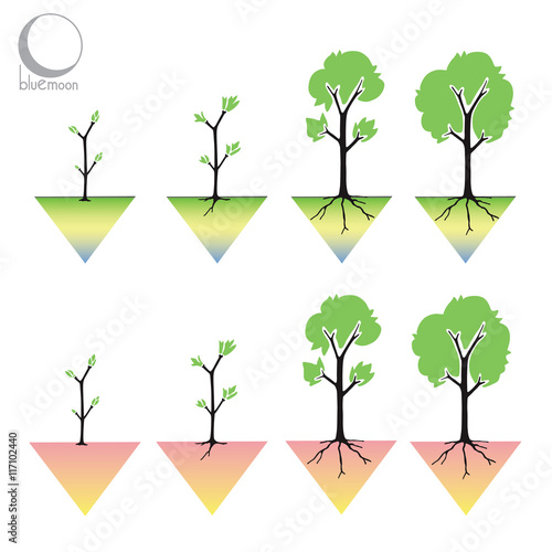 tree growing stages symbol or logo, in orange or green graphic triangle