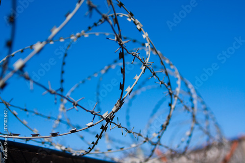 barbed wire on the background of blue sky. Russia Saint Petersburg