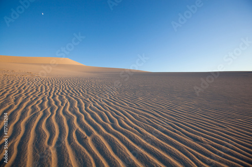 Sand Ripples on a Dune Field