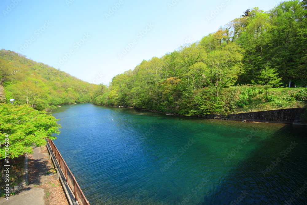 River of the fresh green and a clean flow River of the fresh green and a clean flow