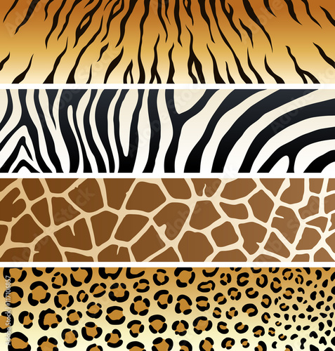 Animal print | Banners