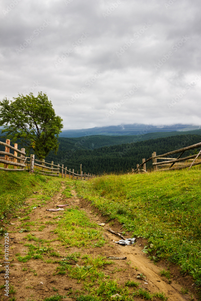 Dirt road in Carpathian mountains. Chornogora ridge, Ukraine, Europe.