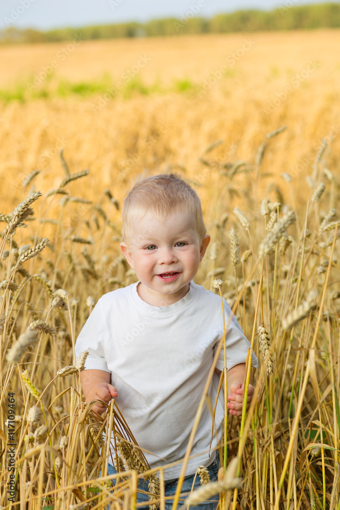 boy in the rye field boy in the rye field