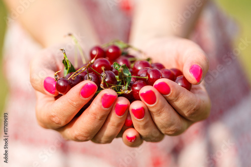 Handful of cherries
