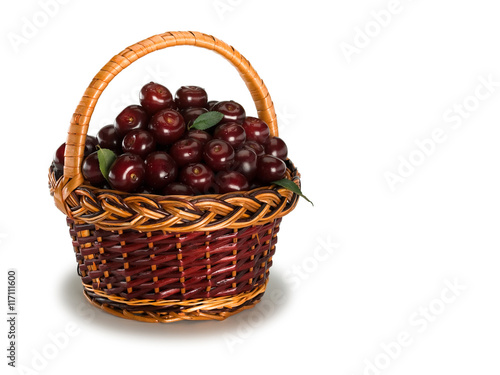 Cherry crop in a basket