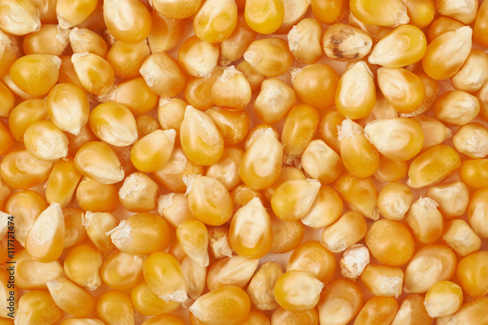 Surface coated with corn kernels Surface coated with corn kernels