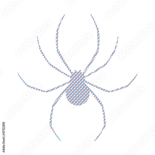 Spider illustration