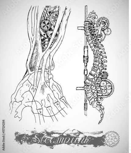 Human anatomy hand and backbone in steampunk style