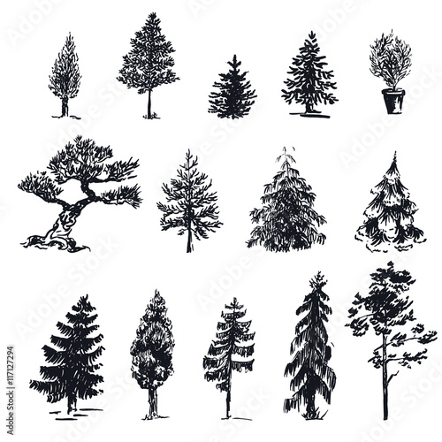 Sketch vector trees 1