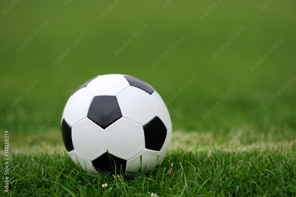 Soccer ball on green grass Soccer ball on green grass