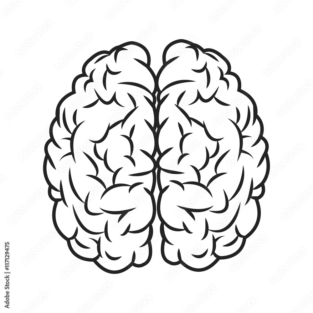 flat design human brain icon vector illustration flat design human brain icon vector illustration