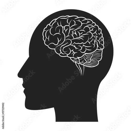 flat design human brain within head silhouette icon vector illustration