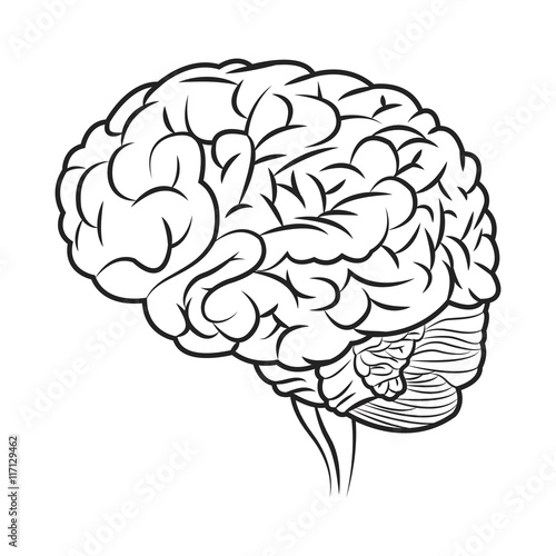 flat design human brain icon vector illustration