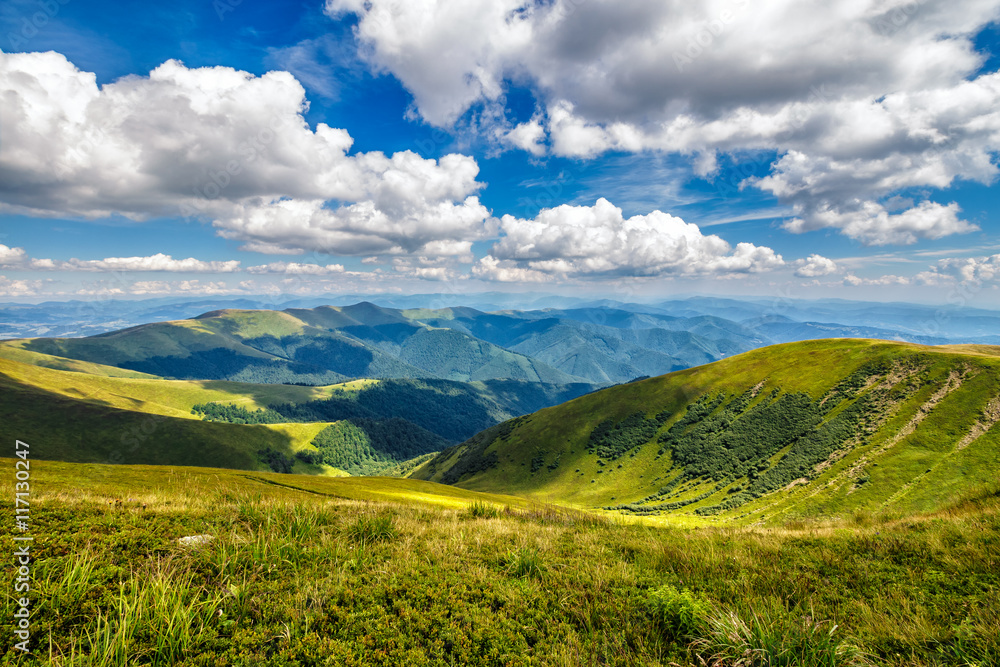Fototapeta premium hillside meadow in mountain