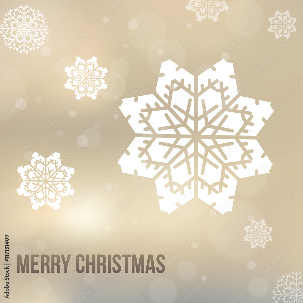 Fototapeta premium Christmas background with snowflakes
