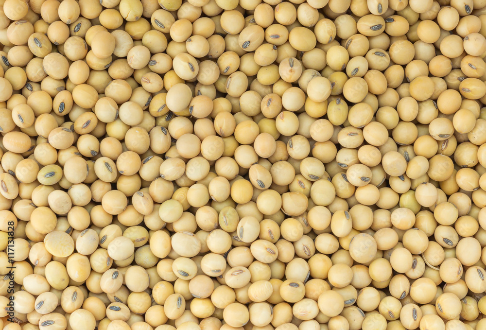 Soybean background Soybean background