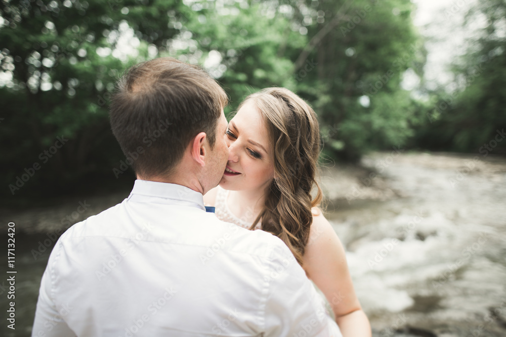 elegant stylish happy brunette bride and gorgeous groom on the background of a beautiful waterfall in the mountains elegant stylish happy brunette bride and gorgeous groom on the background of a beautiful waterfall in the mountains