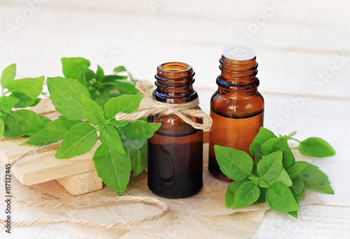 Basil herb essential oil. Extract in bottles, fresh green plant leaves. Natural calming and refreshing remedy. 