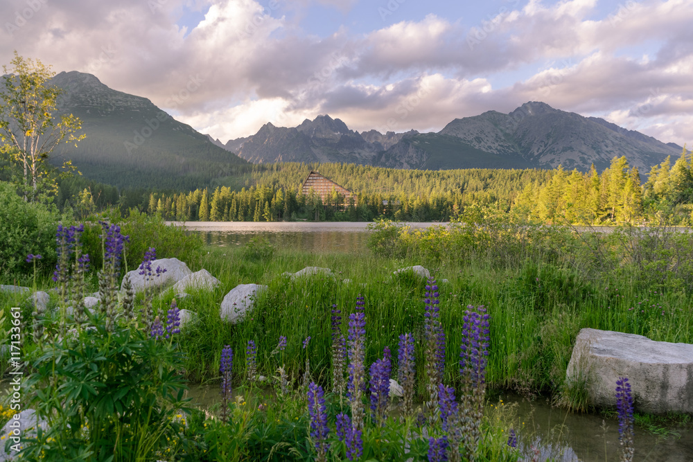 Obraz premium Scenic view of beautiful mountain landscape with hotel next to a lake. Strbske Pleso Town in High Tatras National Park, Slovakia.