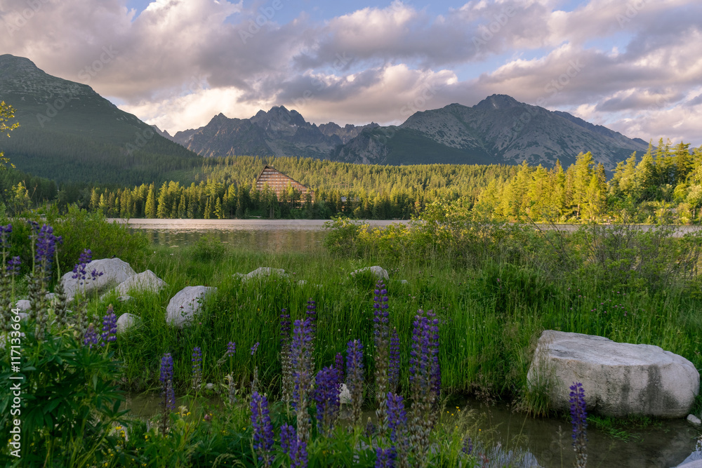 Obraz premium Scenic view of beautiful mountain landscape with hotel next to a lake. Strbske Pleso Town in High Tatras National Park, Slovakia.