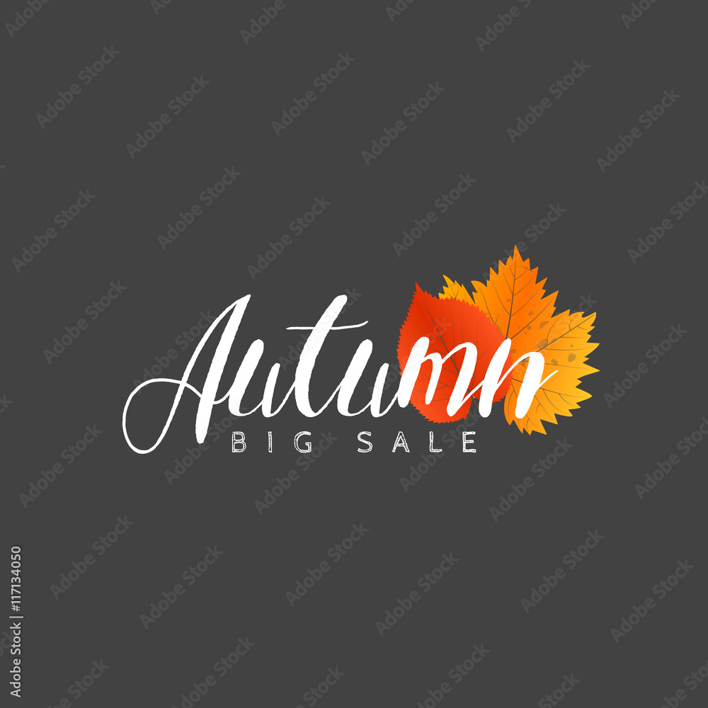 Autumn new season of sales and discounts, deals and offer. Painted lettering with his hands. Label and banner template with yellow red leaves.