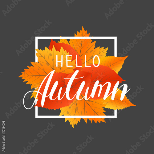 Autumn new season hello. Lettering with hand drawn letters. Label and banner template with yellow red leaves