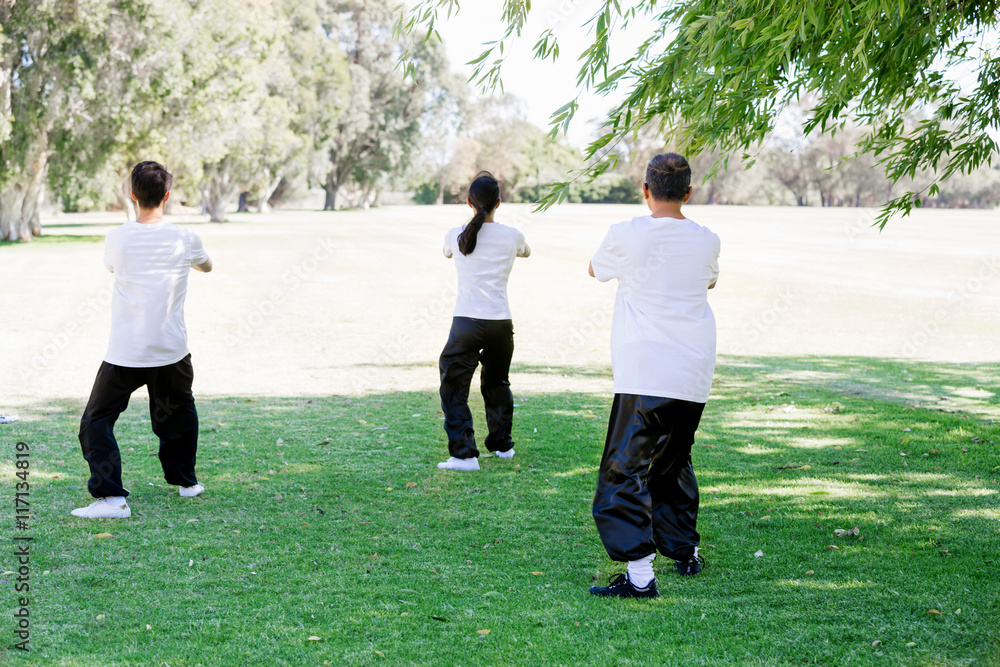 People practicing thai chi in park People practicing thai chi in park