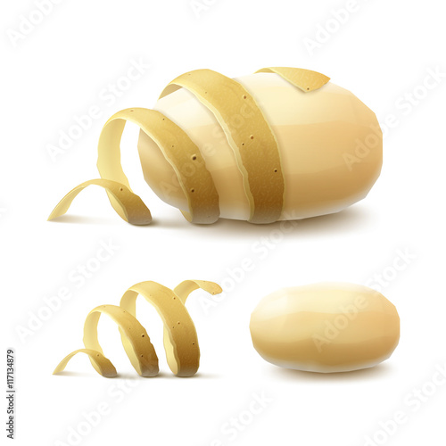 Vector Set of New Yellow Raw Whole Peeled Potato with twisted peel Close up Isolated on White Background