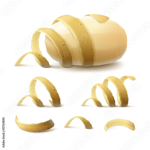 Vector Set of New Yellow Raw Whole Peeled Potato with twisted peel Close up Isolated on White Background