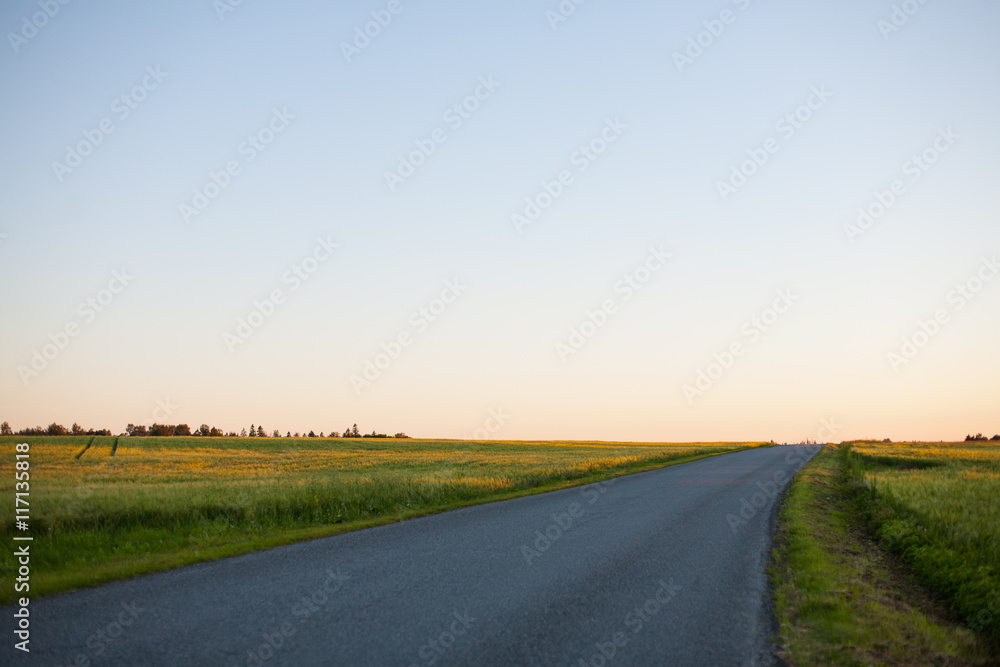 Long asphalt road in the countryside at sunset