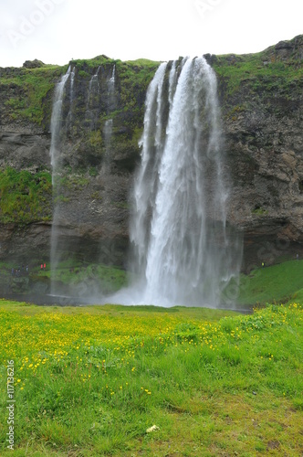 Seljalandsfoss waterfall  Iceland 