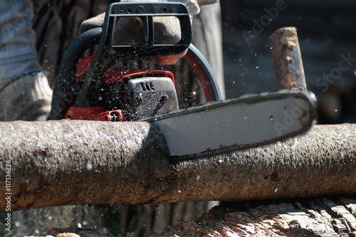 chainsaw to cut firewood