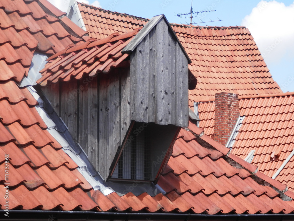 Naklejka premium Red Tiled roofs