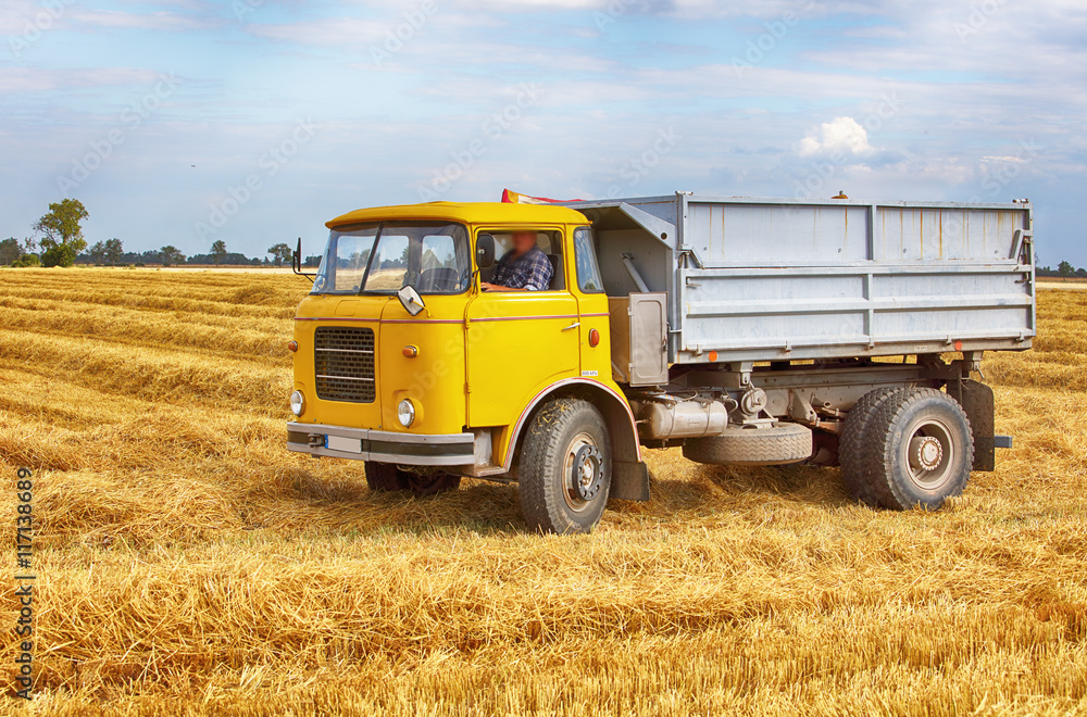 Fototapeta premium Truck, lorry on field