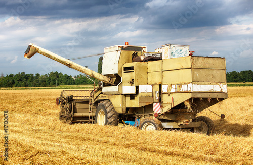 Combine harvester in Wheat field.