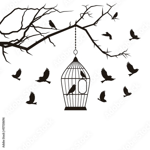 Birds and cage
