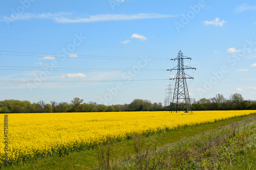 Electricty pylons crossing rapeseed field on farm in English countryside