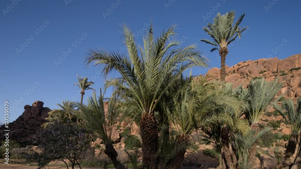 amazing rock formations with plam trees amazing rock formations with plam trees
