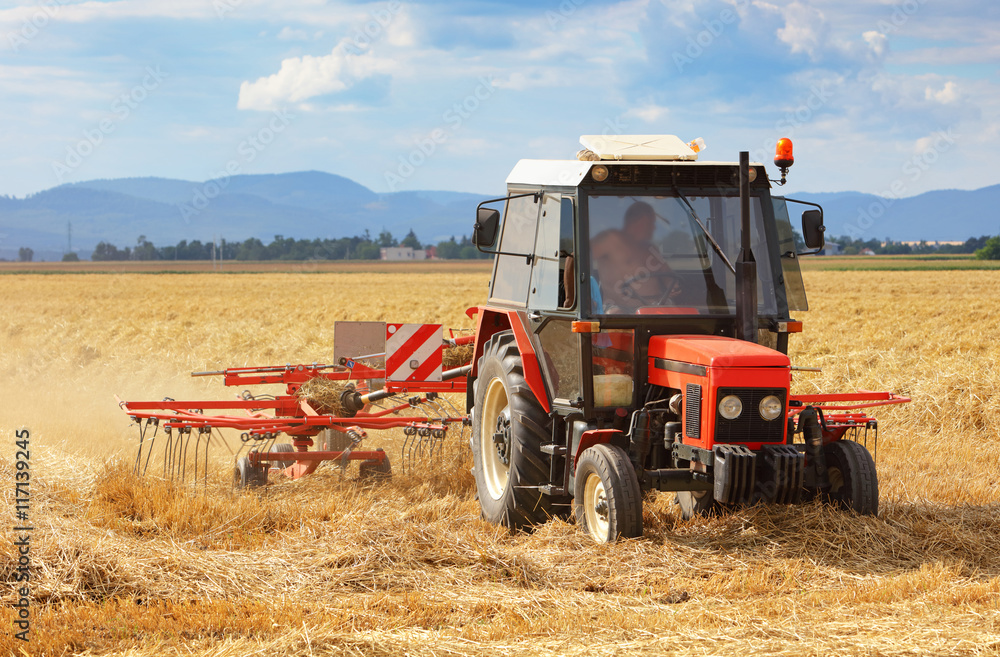 Naklejka premium Tractor in field