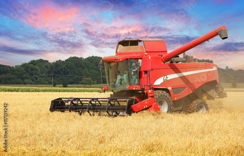 Combine harvester in Wheat field.