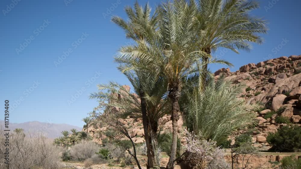 amazing rock formations with plam trees amazing rock formations with plam trees