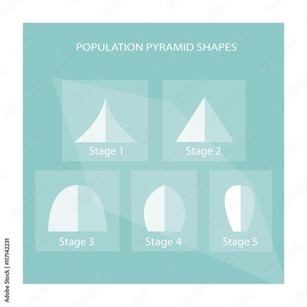 Five Different Types of Population Pyramids Charts Stock Vector | Adobe ...