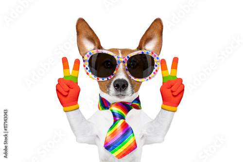 gay pride dog © Javier brosch