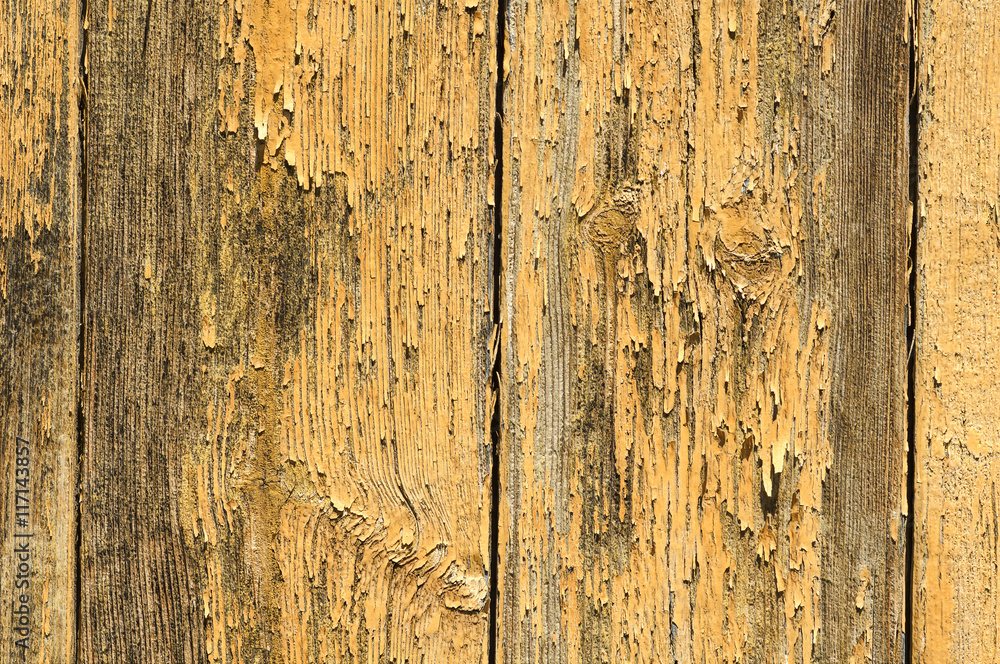 old vintage wooden door , background