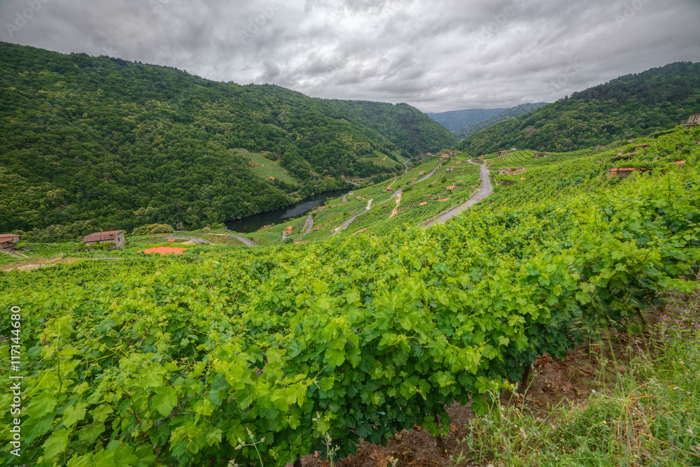 The Ribeira Sacra from Chantada The Ribeira Sacra from Chantada