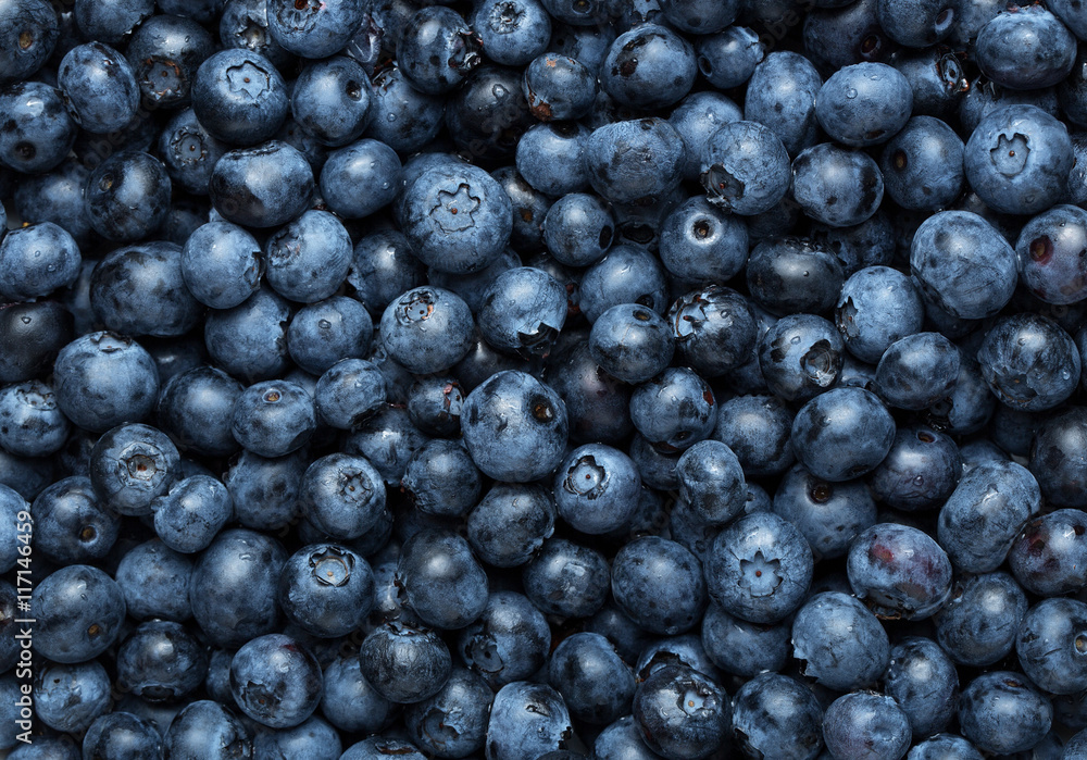 Freshly picked blueberries background, texture with copy space Freshly picked blueberries background, texture with copy space