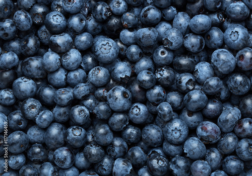 Freshly picked blueberries background, texture with copy space